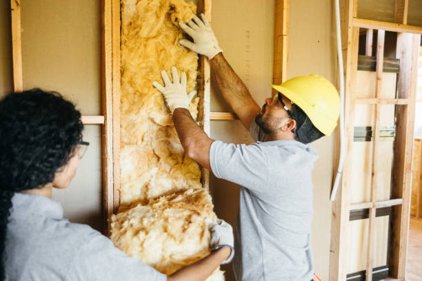 Best Residential Insulation Services  in Lopezville, TX