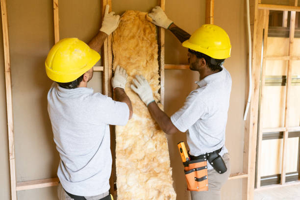 Best Insulation Contractor Near Me  in Lopezville, TX