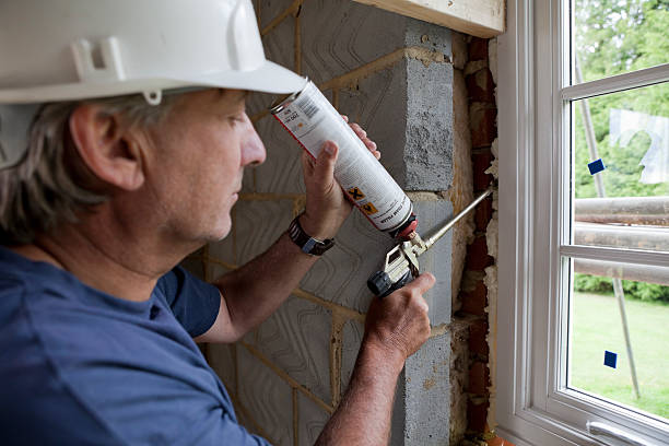 Best Soundproof Insulation Installation  in Lopezville, TX